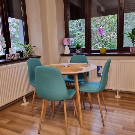 City Inn Premium Apartment Тимишоара Экстерьер фото