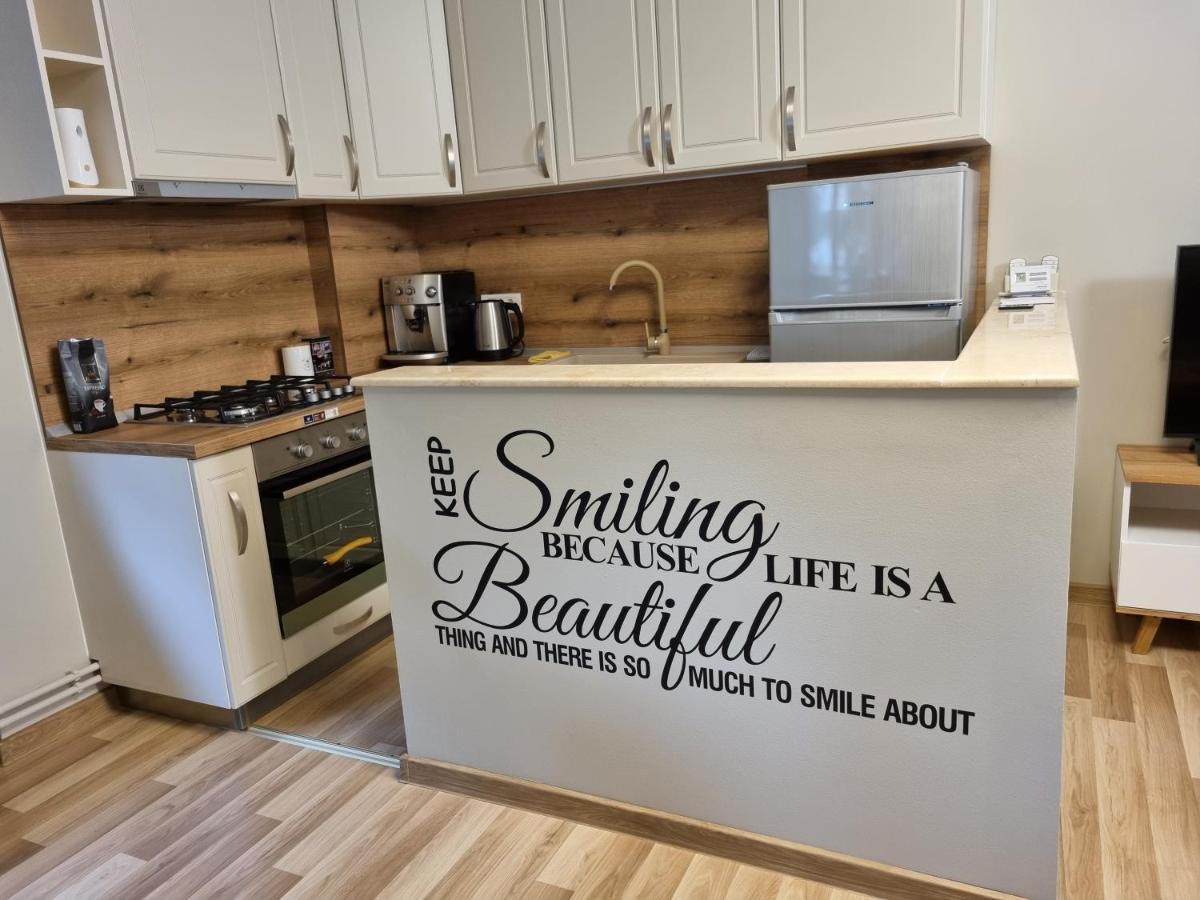 City Inn Premium Apartment Тимишоара Экстерьер фото