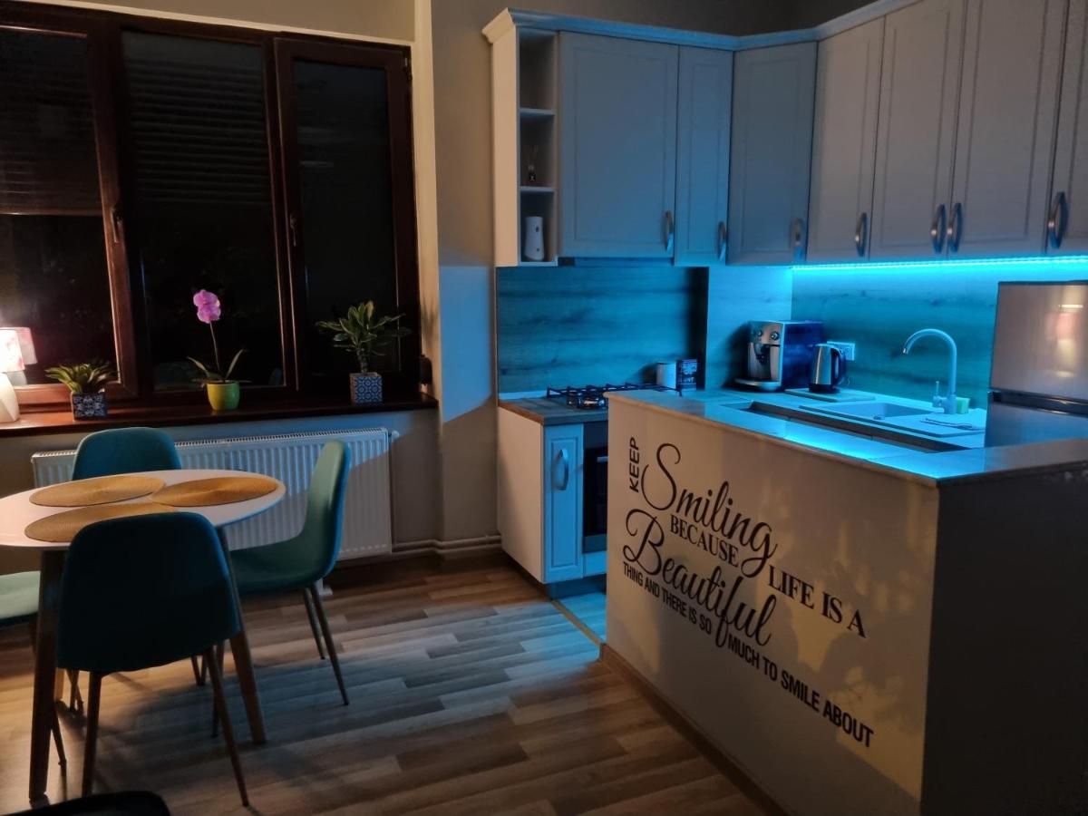 City Inn Premium Apartment Тимишоара Экстерьер фото